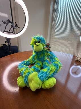 Funky Monkey Blue and Green Shaggy Plush Stuffed Animal Toy